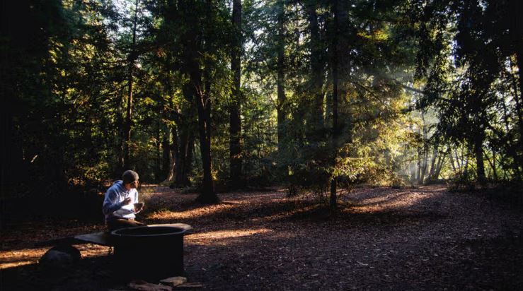 Large meals after 5 pm could contribute to type 2 diabetes risk